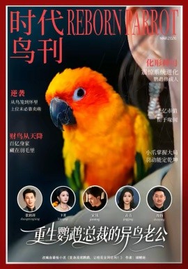 重生鹦鹉：总裁的异鸟老公